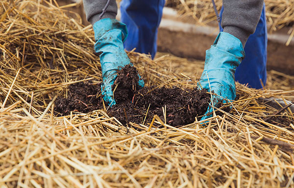 Soil composition and biological fertilization