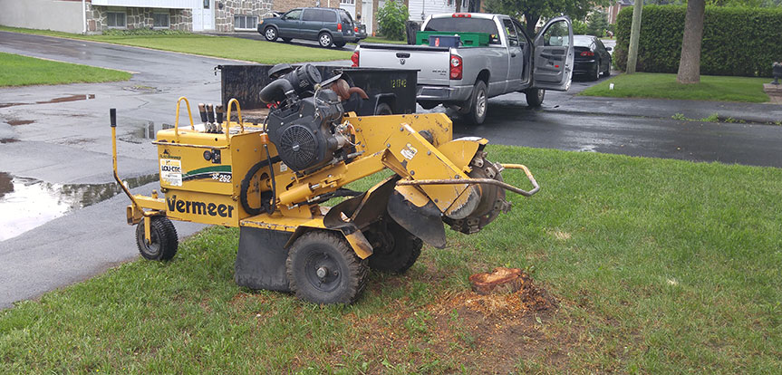 Remove a tree stump
